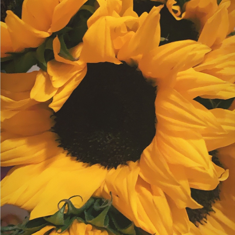❁✿ ❁✿ 𝗡𝗲𝘃𝗲𝗿 𝗸𝗻𝗼𝘄 𝘁𝗶𝗹𝗹 𝘆𝗼𝘂 𝗼𝗳𝗳𝗲𝗿 !! ❁✿ ❁✿⁣
⁣
⁣